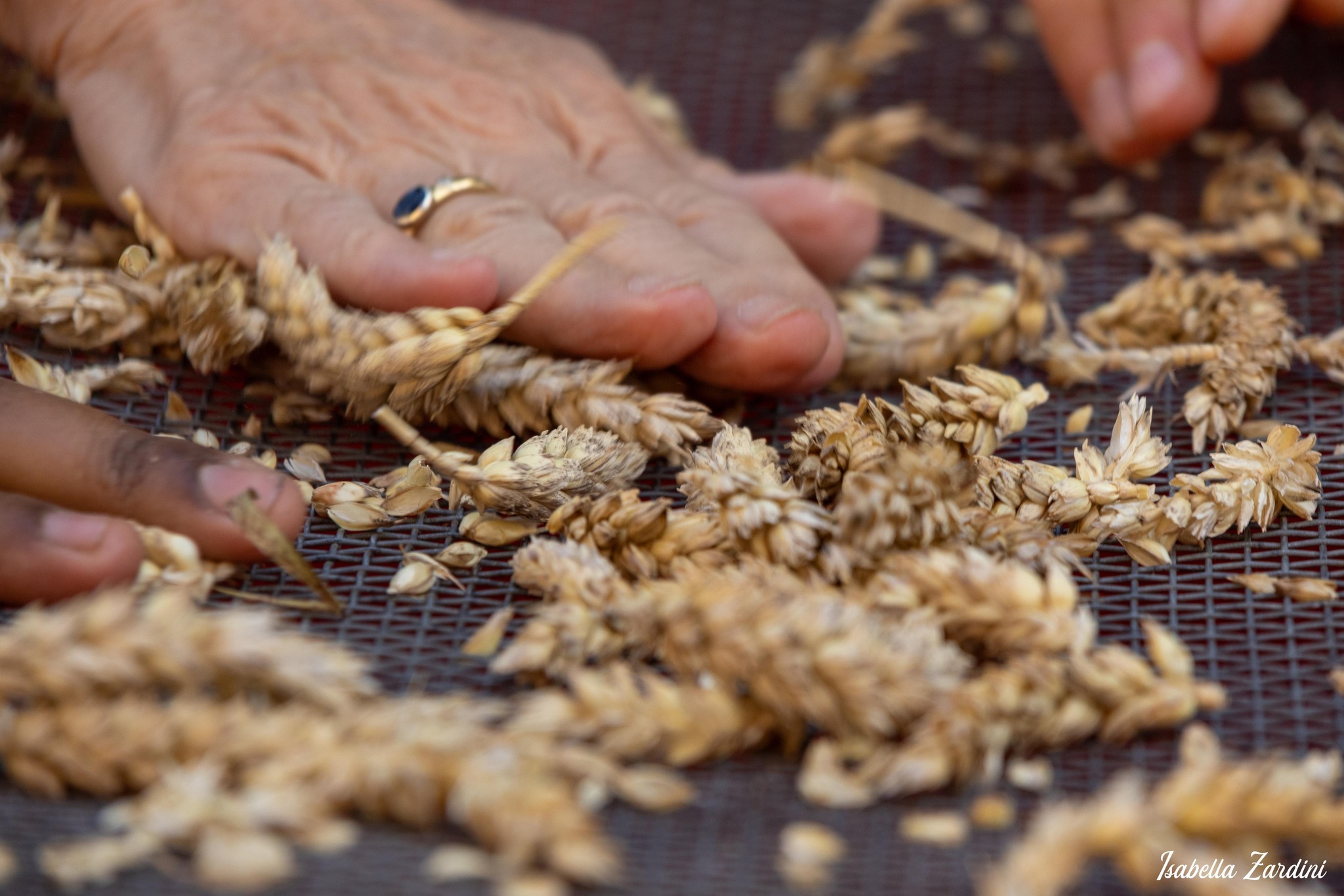 520484901_739787945413038_11981753956942730_n