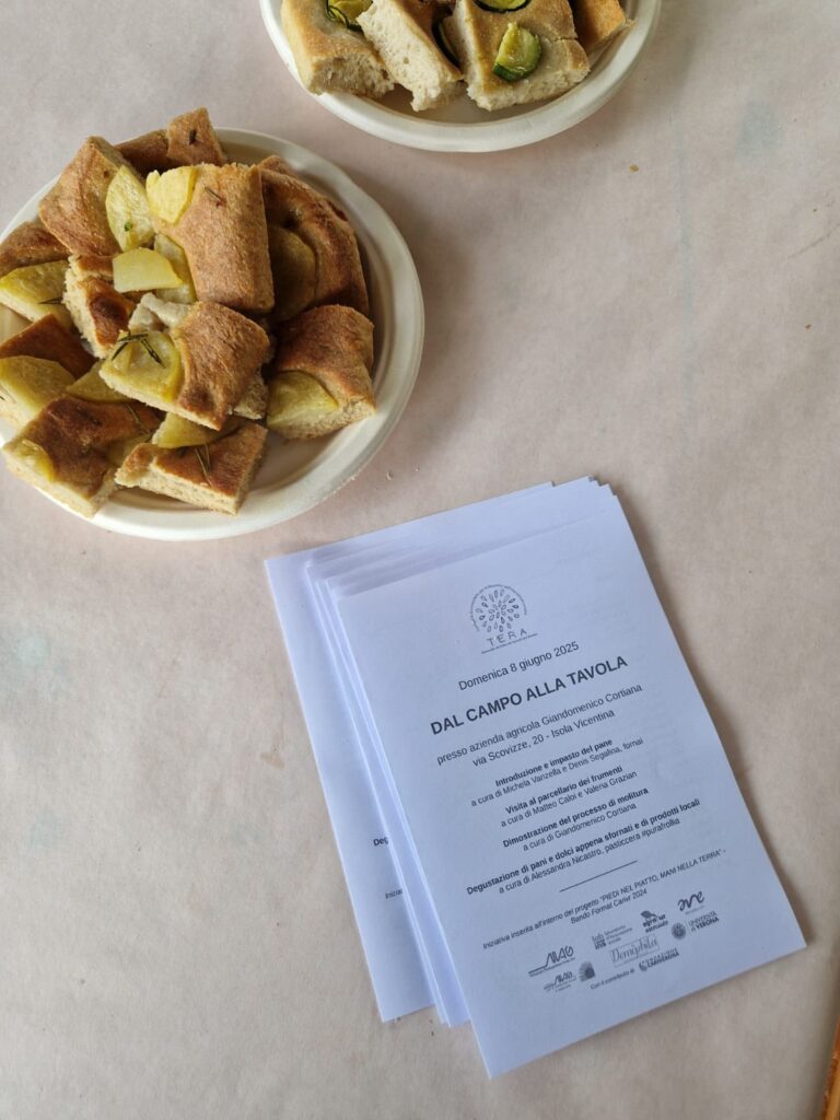 505147782_705791668812666_8124706509886543339_n