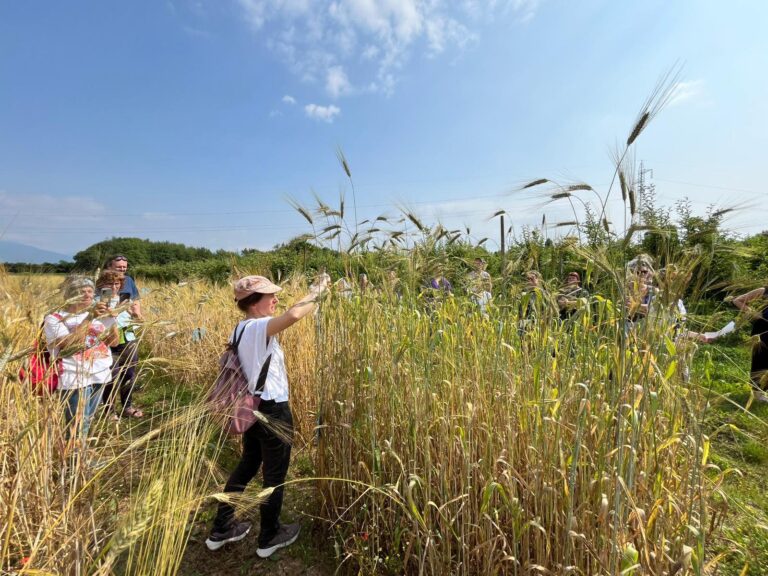 505792882_705788098813023_3868909275079845645_n